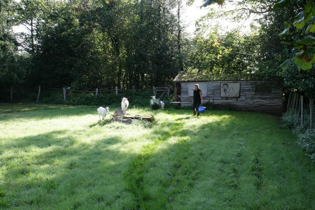 Bed and Breakfast Le Petit Mas D'Ile Saint-Germain-de-Confolens Exterior foto